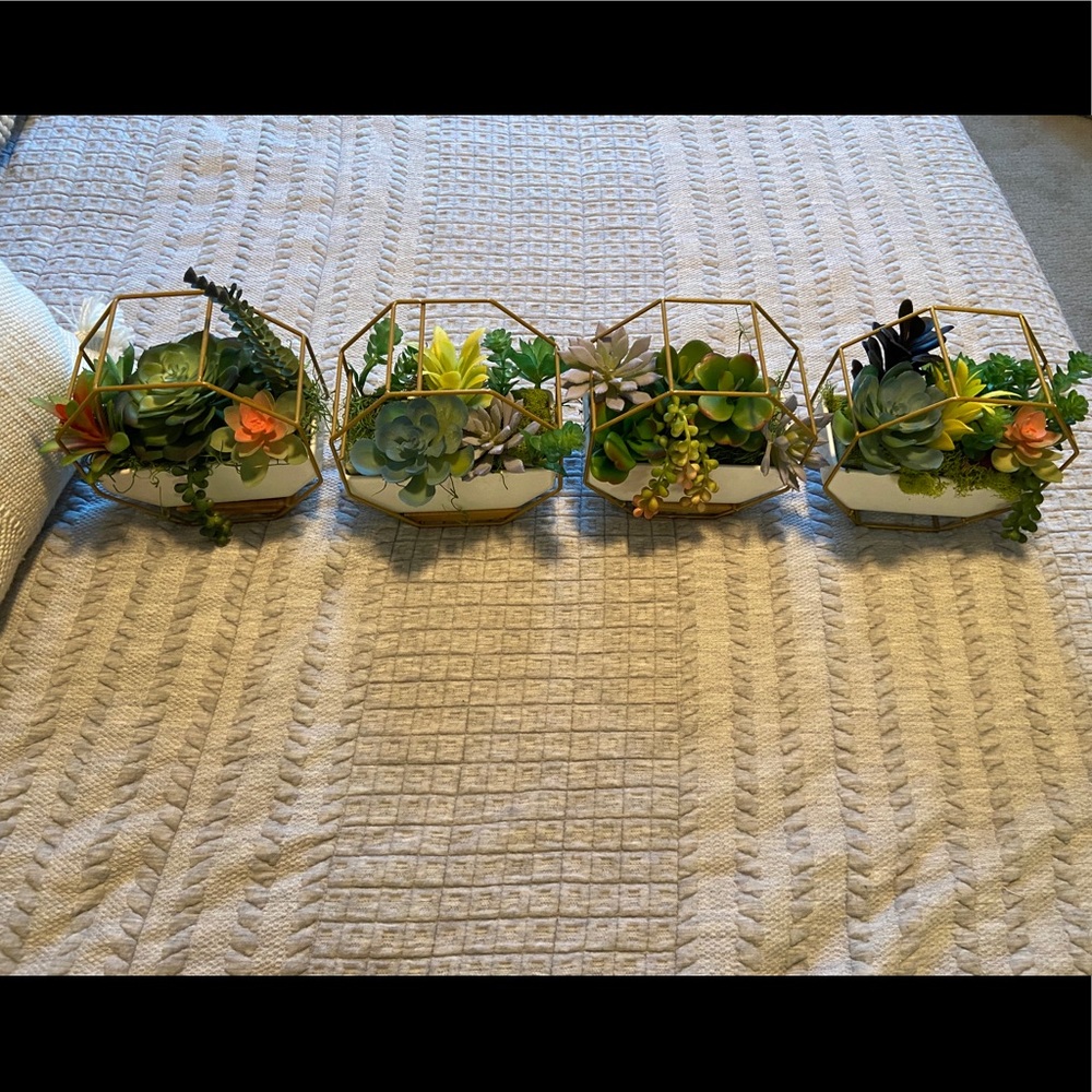 Set of 4 handmade succulent planters